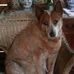 Fran Adamson - Facebook