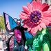 Fran Albrecht - Facebook