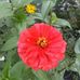 Fran Albright - Facebook