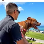 Franco I. Amestoy - @franamestoy_ - Instagram