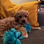 fran - @franberry - Instagram