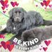 Fran Bradley - Facebook