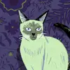 Frances Bradley - @frances.bradley - TikTok