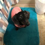 Fran Brookhart - @frannieb53 - Instagram