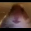 franklin.broome - @franklin.broome - TikTok