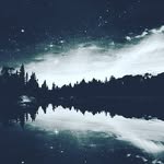 @Fran.burgers - @fran.burger - Instagram