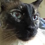 Fran Burns - @fburnsrn - Instagram