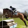 Fran Burns Eventing - @franburnsev - TikTok