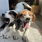 @bernstein_n_franklin - Instagram