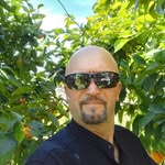 Fran Bushi - @fran.bushi.56 - Instagram