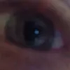 Frank Bush - @frankbush3 - TikTok
