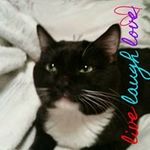 Fran Mitchell Cannon - @fran_m._cannon - Instagram
