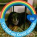 Fran Capes - Facebook