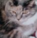 Fran Capps - Facebook
