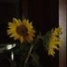 Frances Capps - Facebook