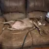 frank Carlson - @frank.carlson8 - TikTok
