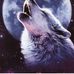 Fran Carney - Facebook