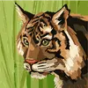 Frances Carney - @frances.carney - TikTok