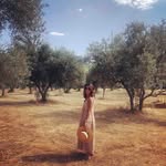 Fran Carson - @francarson60 - Instagram