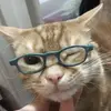 casey.franc - @casey.franc - TikTok