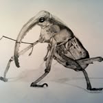 Fran Cassidy - @fran_cassidy_art - Instagram