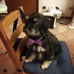 Franca Tessari - @francatessari7342 - Instagram