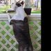 Frances Cates - Facebook