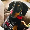 Frank’s World - @frankcates - TikTok