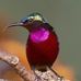 Fran Cavanaugh - Facebook