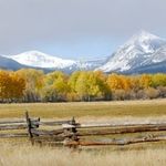 Frank Cavanaugh - @cavanaugh_frank - Instagram