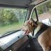 Frank Chappell - Facebook