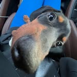 Frank Clements-Vega - @allbeeffrank - Instagram