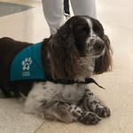 Fran Matthews Clinkscales - @fmatthewsclinkscales - Instagram