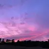 Frances Coates - @francescoates - TikTok