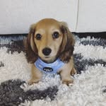 Frankie B Coates - @frankie.b.cute - Instagram