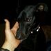 Fran Cobbe - Facebook