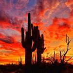 Fran Conklin - @fran.conklin.777 - Instagram