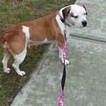 Frank J Conklin - @emmasdaddy365 - Instagram