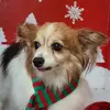 Frances Oconnell448 - @francesoconnell1 - TikTok
