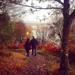 Mary Fran Connelly Yerkes - @fran_yerkes - Instagram