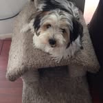 Fran Conti - @conti2223 - Instagram
