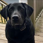 Fran Cooke - @frandcooke - Instagram