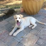 Frank Cooney - @foothill_frank - Instagram