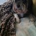 Fran Copeland - Facebook