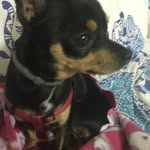 Fran - @fran_copper_ - Instagram
