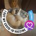 Fran Coyle - Facebook