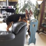 Fran Spingola Crawford - @spingola0209 - Instagram
