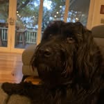 Frank Crosby - @frankkcrosby - Instagram