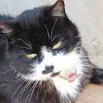 Fran Crowther - @crowtherfran - Instagram