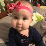 Fran Crumley - @francrumley - Instagram